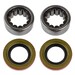 Axle Differential Bearing and Seal Kit